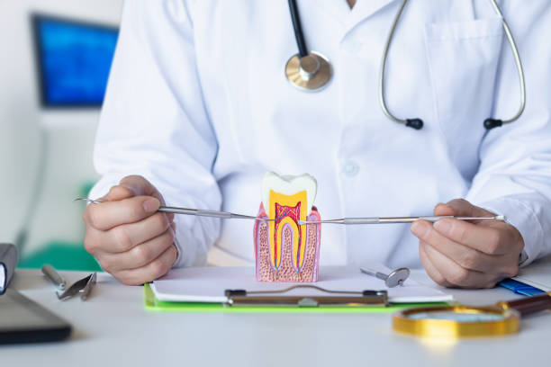 Best Emergency Root Canal Therapy in Denver, PA